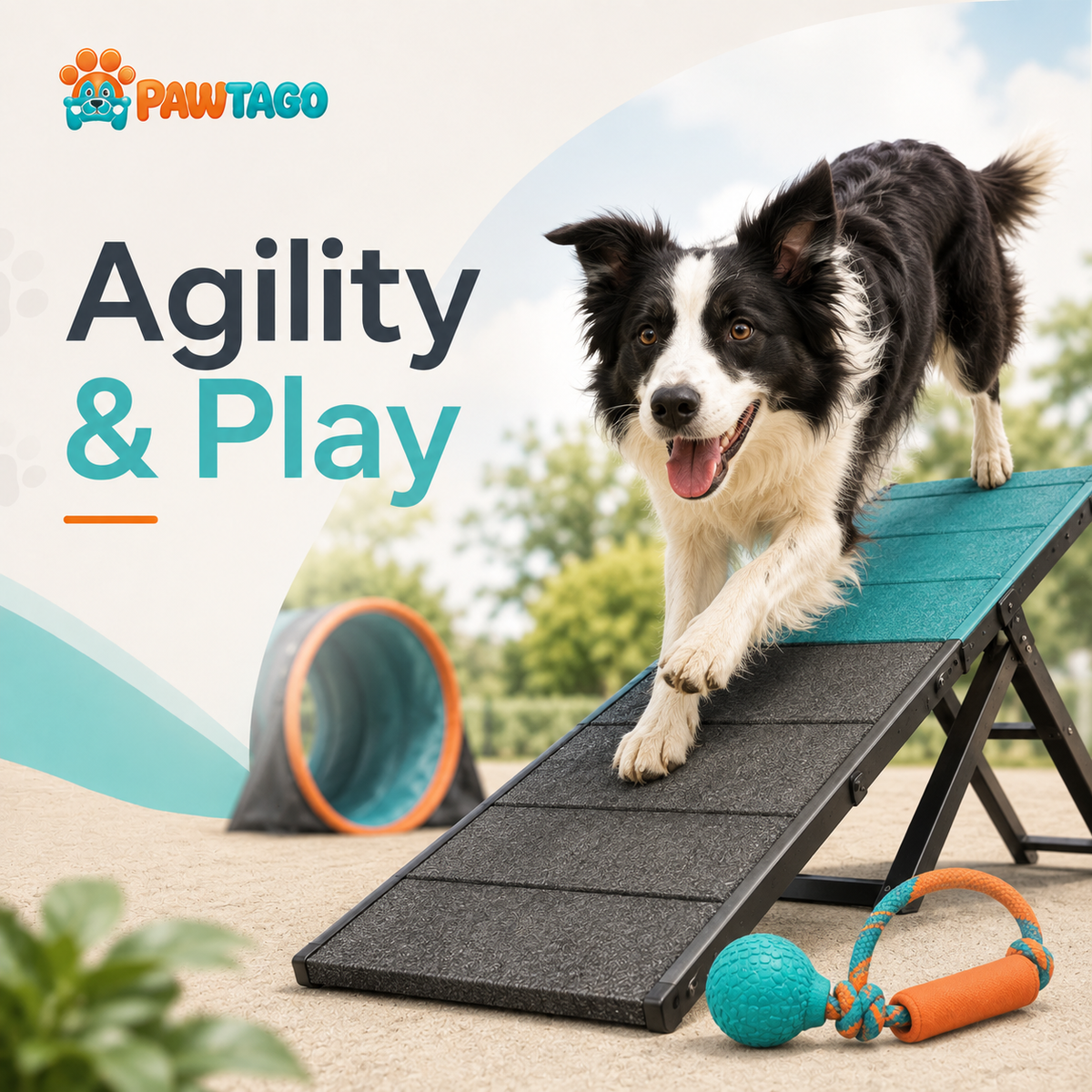 Agility & Play
