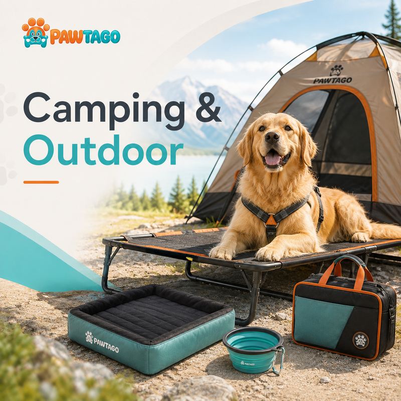 Camping & Outdoor
